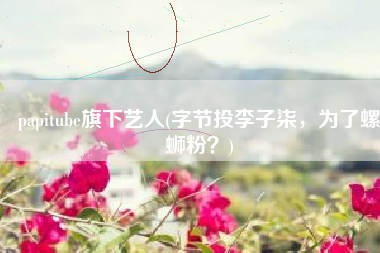 papitube旗下艺人(字节投李子柒，为了螺蛳粉？)