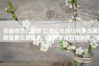 郭德纲怎么被抓了(德云社团综有多真实？敢提曹云金旧事，孟鹤堂被郭德纲抓“把柄”)