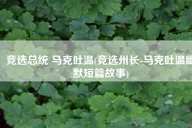 竞选总统 马克吐温(竞选州长-马克吐温幽默短篇故事)