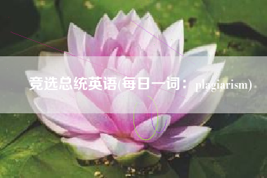 竞选总统英语(每日一词：plagiarism)