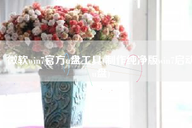 微软win7官方u盘工具(制作纯净版win7启动u盘)