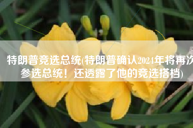 特朗普竞选总统(特朗普确认2024年将再次参选总统！还透露了他的竞选搭档)