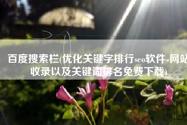 百度搜索栏(优化关键字排行seo软件-网站收录以及关键词排名免费下载)