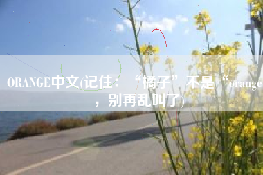 ORANGE中文(记住：“橘子”不是“orange”，别再乱叫了)