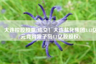 大连控股股票(成交！大连盐化集团3.43亿元竞得獐子岛1.1亿股股权)