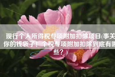 现行个人所得税专项附加扣除项目(事关你的钱袋子！个税专项附加扣除到底有哪些？)