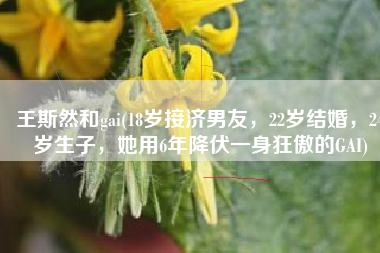 王斯然和gai(18岁接济男友，22岁结婚，24岁生子，她用6年降伏一身狂傲的GAI)