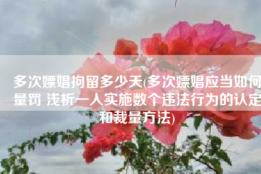 多次嫖娼拘留多少天(多次嫖娼应当如何量罚 浅析一人实施数个违法行为的认定和裁量方法)