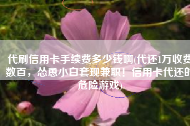 代刷信用卡手续费多少钱啊(代还1万收费数百，怂恿小白套现兼职！信用卡代还的危险游戏)