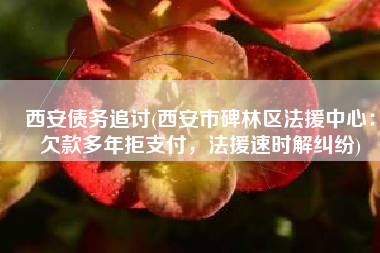 西安债务追讨(西安市碑林区法援中心：欠款多年拒支付，法援速时解纠纷)