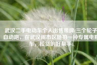 武汉二手电动车个人出售带牌(三个轮子自动跑，在武汉闹市区随拍一种专属电瓶车，拉货的好帮手)