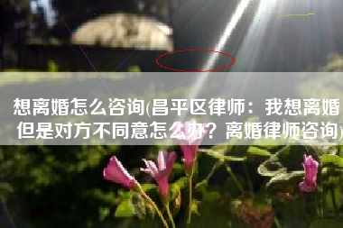 想离婚怎么咨询(昌平区律师：我想离婚，但是对方不同意怎么办？离婚律师咨询)