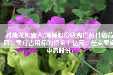 科捷龙机器人(鸿博股份收购广州科语背后：卖方占用标的资金上亿元、差点卖身中潜股份)