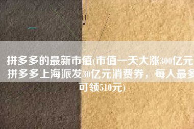 拼多多的最新市值(市值一天大涨300亿元！拼多多上海派发30亿元消费券，每人最多可领510元)