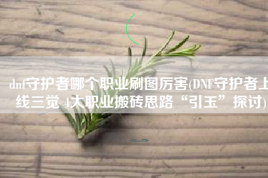 dnf守护者哪个职业刷图厉害(DNF守护者上线三觉 4大职业搬砖思路“引玉”探讨)