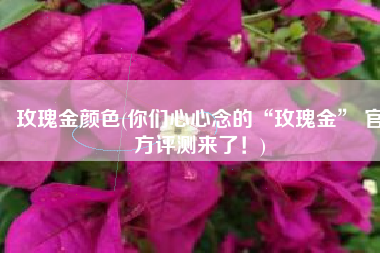 玫瑰金颜色(你们心心念的“玫瑰金” 官方评测来了！)