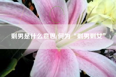 剩男是什么意思(何为“剩男剩女”)