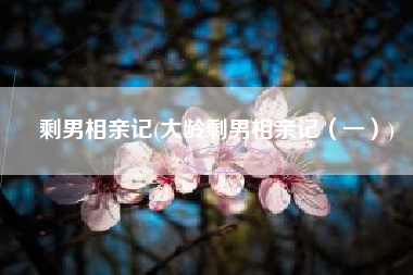 剩男相亲记(大龄剩男相亲记（一）)