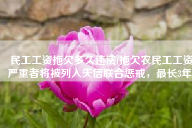 民工工资拖欠多久违法(拖欠农民工工资严重者将被列入失信联合惩戒，最长3年)