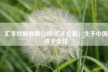 汇丰控股有限公司(汇丰控股：生于中国 成于全球)