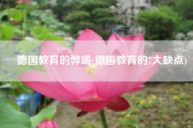 德国教育的弊端(德国教育的7大缺点)