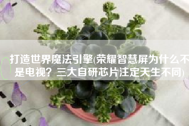 打造世界魔法引擎(荣耀智慧屏为什么不是电视？三大自研芯片注定天生不同)