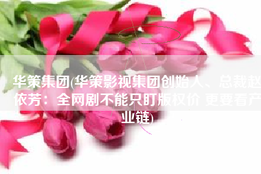 华策集团(华策影视集团创始人、总裁赵依芳：全网剧不能只盯版权价 更要看产业链)