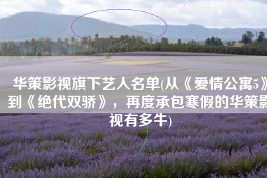 华策影视旗下艺人名单(从《爱情公寓5》到《绝代双骄》，再度承包寒假的华策影视有多牛)