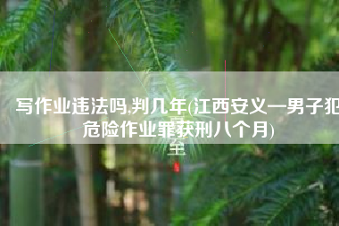 写作业违法吗,判几年(江西安义—男子犯危险作业罪获刑八个月)