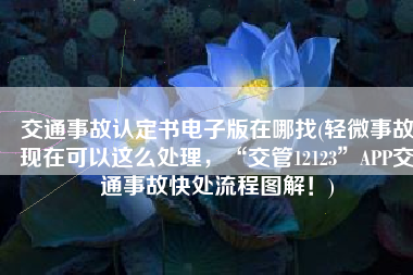 交通事故认定书电子版在哪找(轻微事故现在可以这么处理，“交管12123”APP交通事故快处流程图解！)