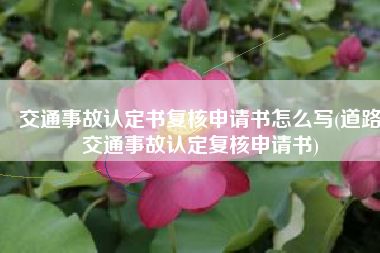 交通事故认定书复核申请书怎么写(道路交通事故认定复核申请书)