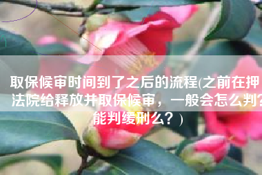 取保候审时间到了之后的流程(之前在押，法院给释放并取保候审，一般会怎么判？能判缓刑么？)