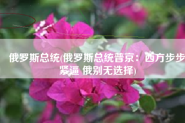 俄罗斯总统(俄罗斯总统普京：西方步步紧逼 俄别无选择)