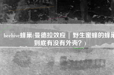 beehive蜂巢(曼德拉效应 | 野生蜜蜂的蜂巢到底有没有外壳？)