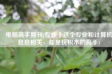 电脑高手期刊(专业丨这个专业和计算机息息相关，却是玩积木的高手)