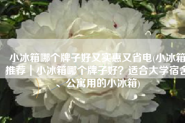 小冰箱哪个牌子好又实惠又省电(小冰箱推荐｜小冰箱哪个牌子好？适合大学宿舍、公寓用的小冰箱)