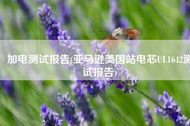 加电测试报告(亚马逊美国站电芯UL1642测试报告)