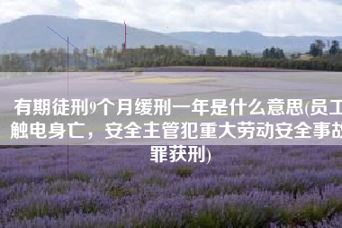 有期徒刑9个月缓刑一年是什么意思(员工触电身亡，安全主管犯重大劳动安全事故罪获刑)
