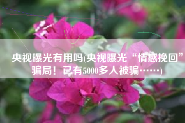 央视曝光有用吗(央视曝光“情感挽回”骗局！已有5000多人被骗……)