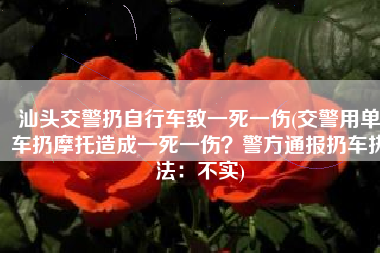 汕头交警扔自行车致一死一伤(交警用单车扔摩托造成一死一伤？警方通报扔车执法：不实)