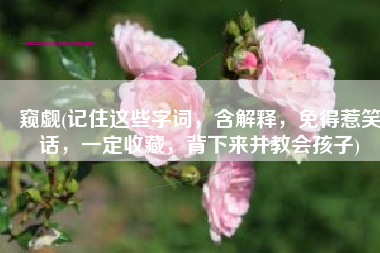 窥觑(记住这些字词，含解释，免得惹笑话，一定收藏，背下来并教会孩子)