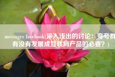 messages facebook(深入浅出的讨论：夸夸群有没有发展成互联网产品的必要？)