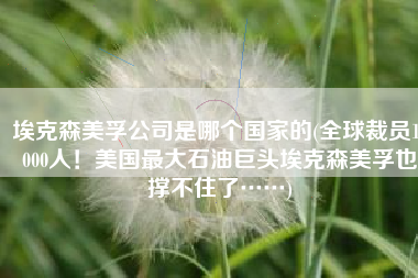 埃克森美孚公司是哪个国家的(全球裁员14000人！美国最大石油巨头埃克森美孚也撑不住了……)