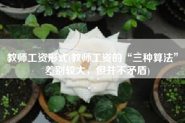 教师工资形式(教师工资的“三种算法”，差别较大，但并不矛盾)