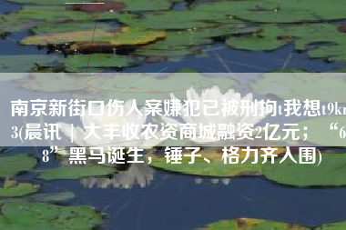 南京新街口伤人案嫌犯已被刑拘t我想t9km3(晨讯 | 大丰收农资商城融资2亿元；“618”黑马诞生，锤子、格力齐入围)