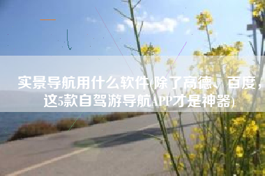 实景导航用什么软件(除了高德、百度，这5款自驾游导航APP才是神器)