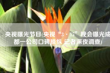 央视曝光节目(央视“3·15”晚会曝光成都一公司口碑操纵 记者深夜调查)
