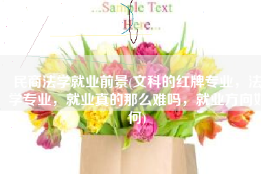 民商法学就业前景(文科的红牌专业，法学专业，就业真的那么难吗，就业方向如何)