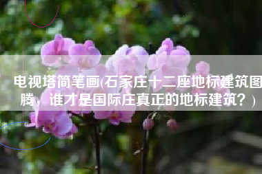 电视塔简笔画(石家庄十二座地标建筑图腾，谁才是国际庄真正的地标建筑？)