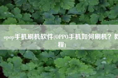 opop手机刷机软件(OPPO手机如何刷机？教程)